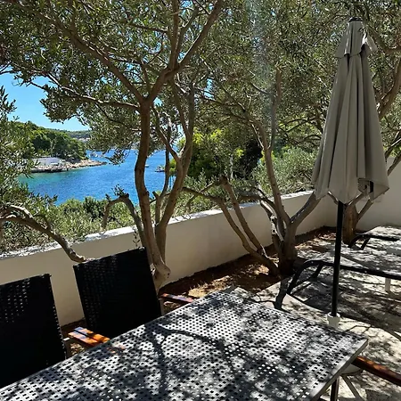 Hosta * Hvar Town