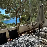 Hosta * Hvar Town