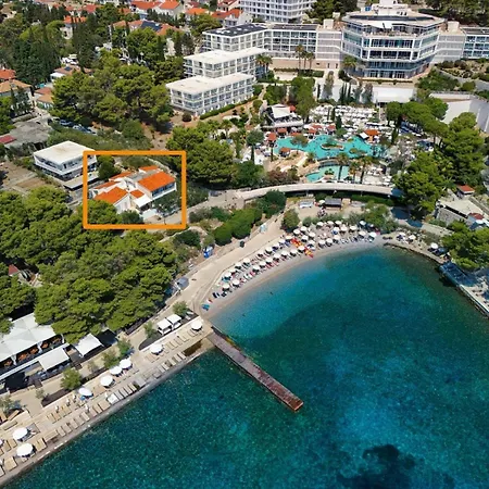 Hosta Hvar Town